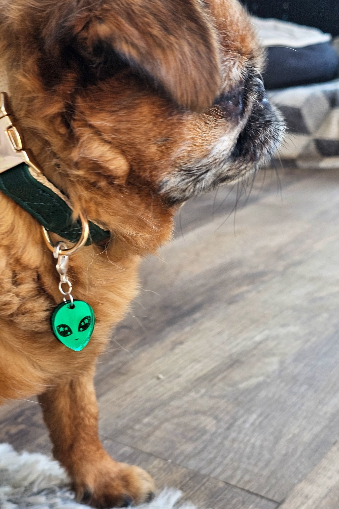 We Come in Peace Collar Charm - Morti's Fun Club