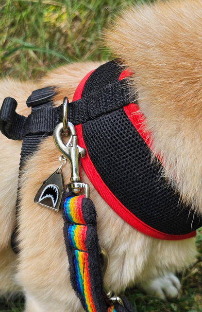 Bite Me Twinning Set - Morti's Fun Club