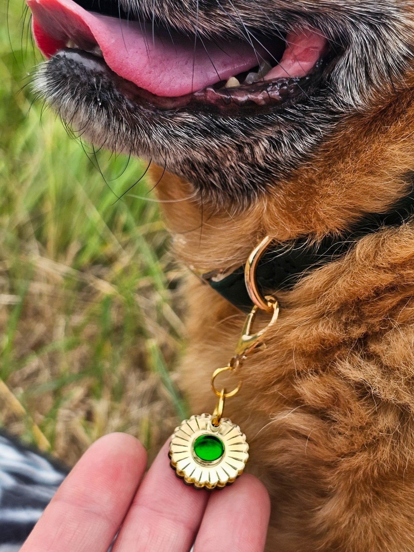 Jurrasic Bloom Collar Charm (Small) - Morti's Fun Club