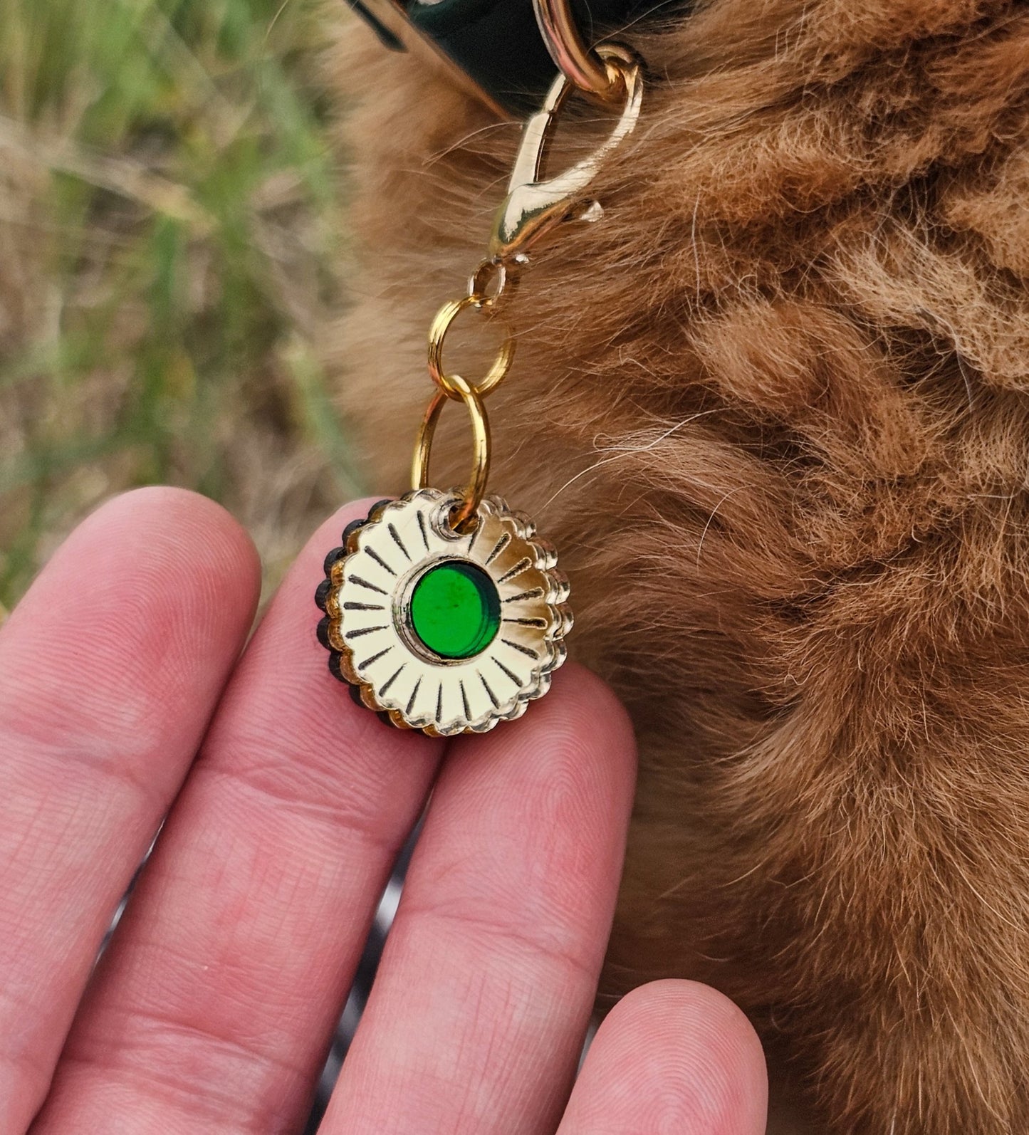 Jurrasic Bloom Collar Charm (Small) - Morti's Fun Club