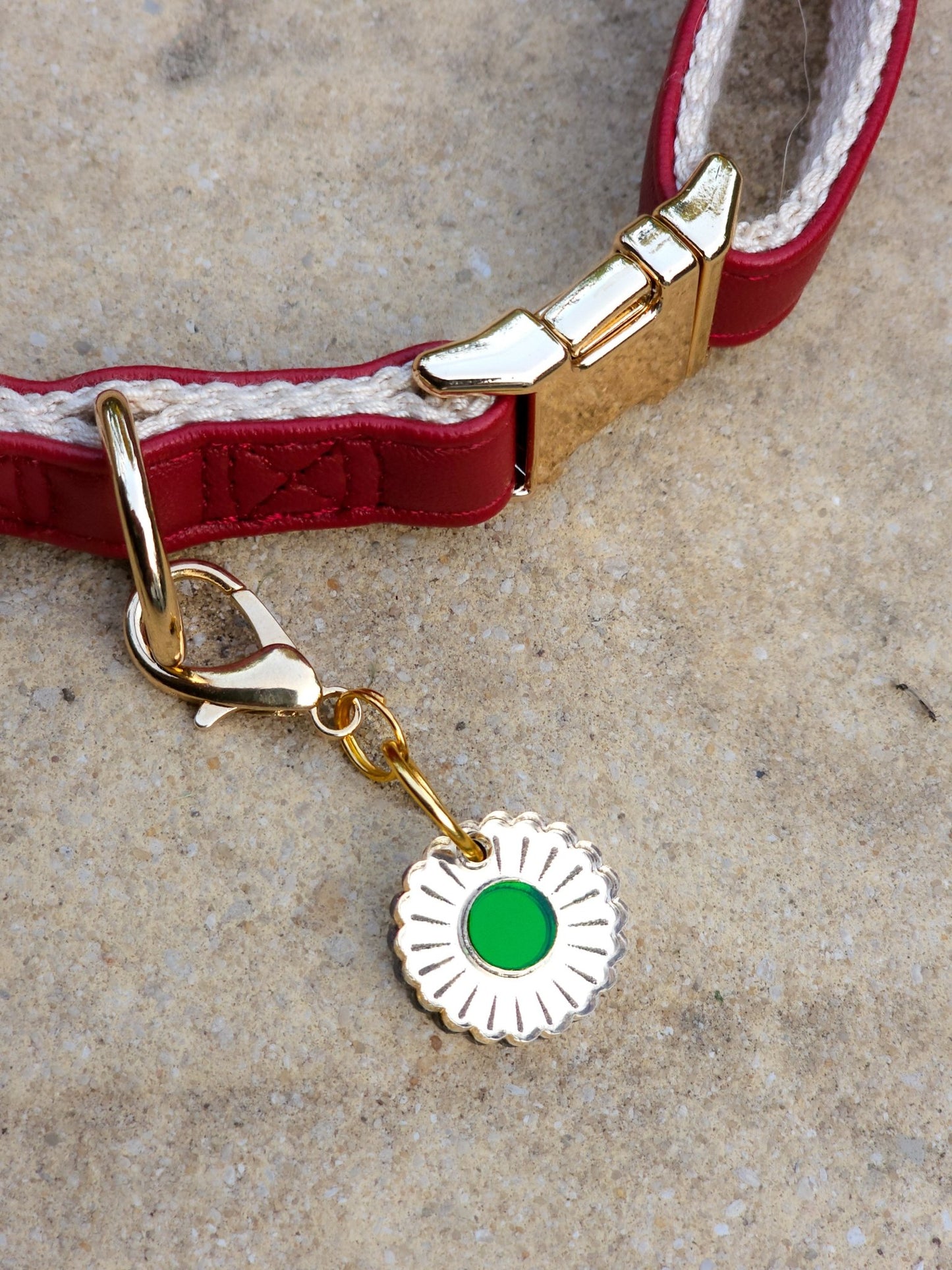 Jurrasic Bloom Collar Charm (Small) - Morti's Fun Club