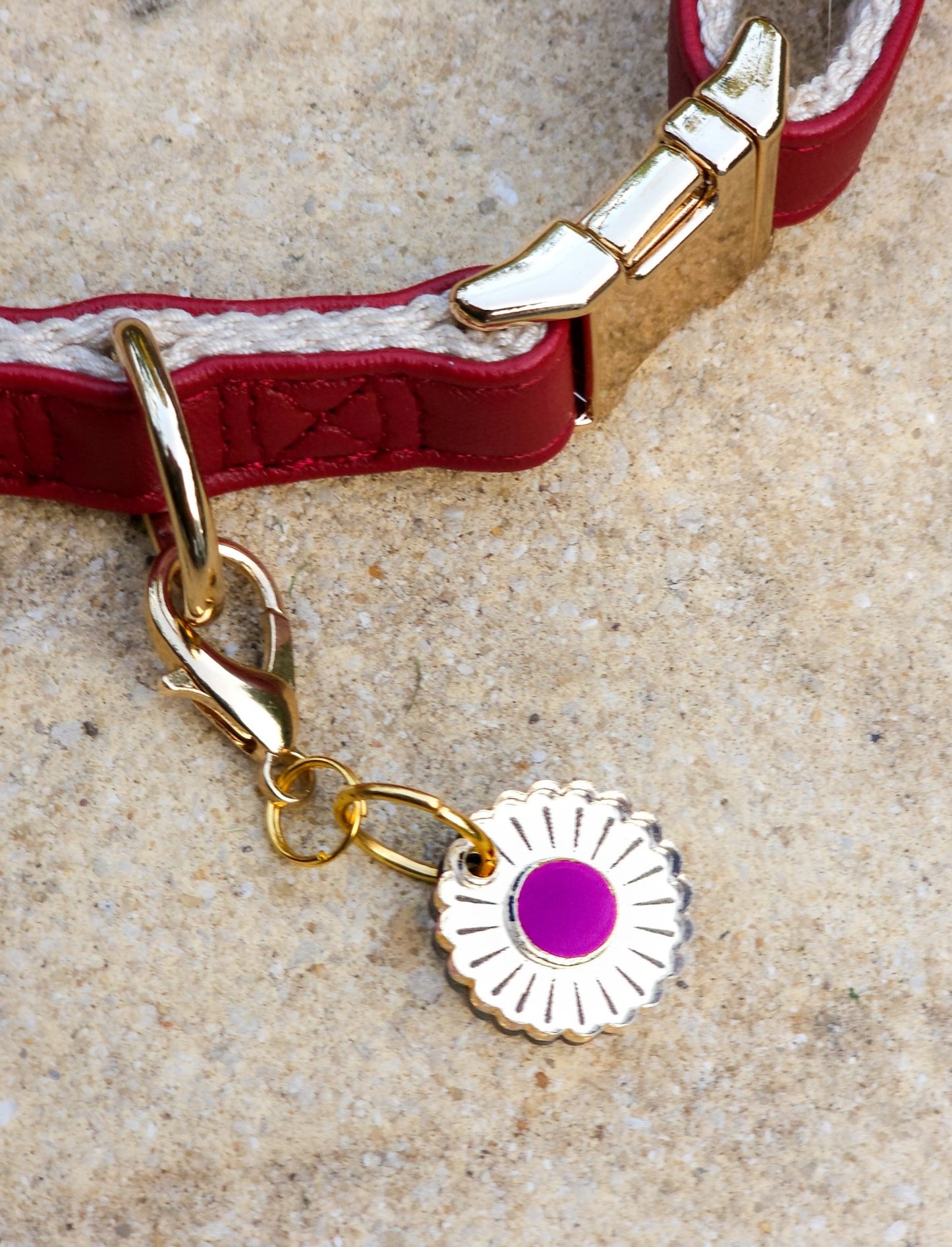 Jurrasic Bloom Collar Charm (Small) - Morti's Fun Club