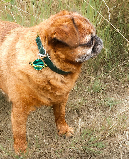 Solar System Collar Charm - Morti's Fun Club